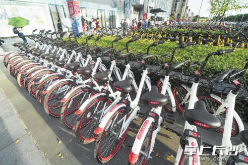 昨日下午，在開福區(qū)萬達廣場，成片的共享單車停放在廣場前坪。 長沙晚報記者 黃啟晴 攝