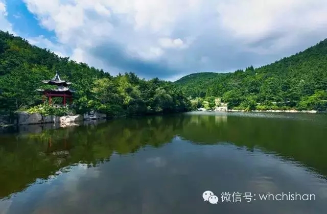 花期已過葉還未紅 去赤山賞云吧！