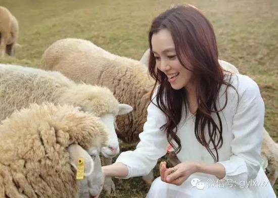 明星旅行糗事一籮筐 總有一個(gè)萌到你！