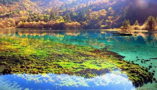 門票那么貴 沒法玩耍了！