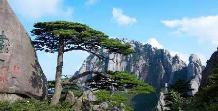 門票那么貴 沒法玩耍了！