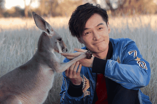 小袋鼠還有親到胡歌喲！