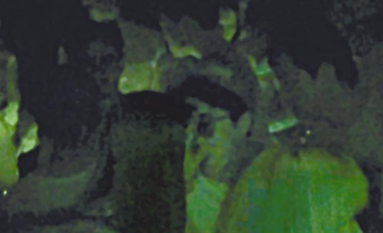 房祖名去年被港媒直擊在中環(huán)夜店與長發(fā)妞互動(dòng)曖昧，女生正是Nana