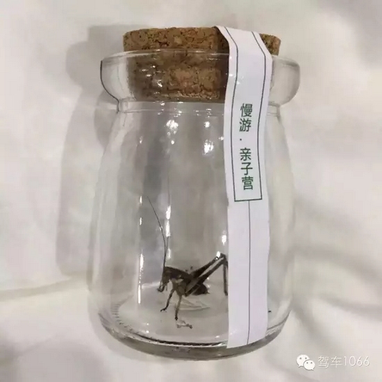 看看我的成果吧！