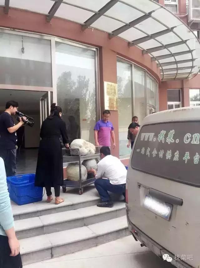 找菜網(wǎng)認(rèn)購百萬斤冬瓜，解農(nóng)戶燃眉之急