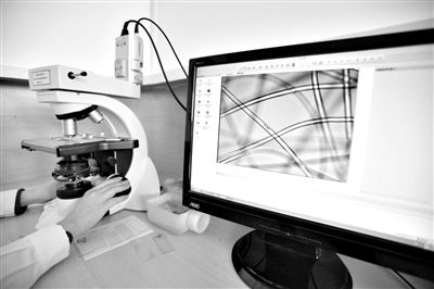 顯微鏡下，聚酯纖維很光亮，表面有斑點(diǎn)，粗細(xì)非常均勻。