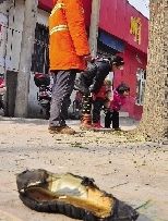 老漢右腿燒傷，樹(shù)下扔了一只燒焦的鞋