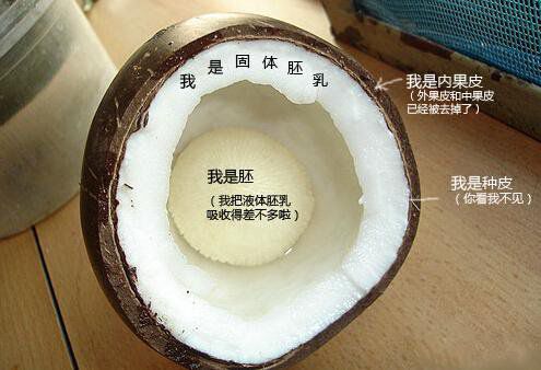 你在甜品店常吃的東西，到底都是啥？