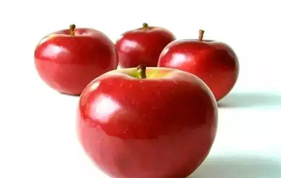 小心有毒！各種蔬果不能吃的部分