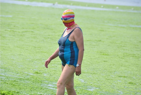 2013年7月3日，山東青島青島高溫來襲，“青島大媽”不懼滸苔，戴著“強(qiáng)盜面具”出現(xiàn)在海水浴場消暑降