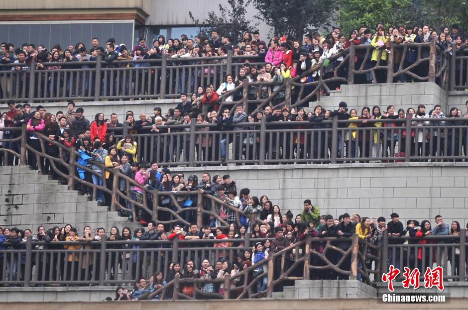 重慶上萬粉絲在南濱路等待《奔跑吧兄弟》節(jié)目的錄制。