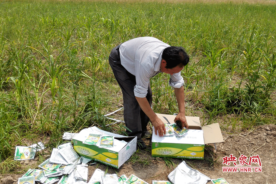 村民察看摧毀玉米的農(nóng)藥。