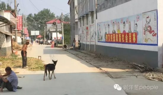 孫莊村一角。新京報(bào)記者安鐘汝 攝