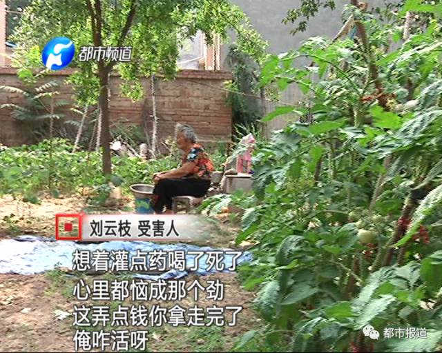 老太輕信騙子能驅(qū)邪 全部家當被騙險自殺