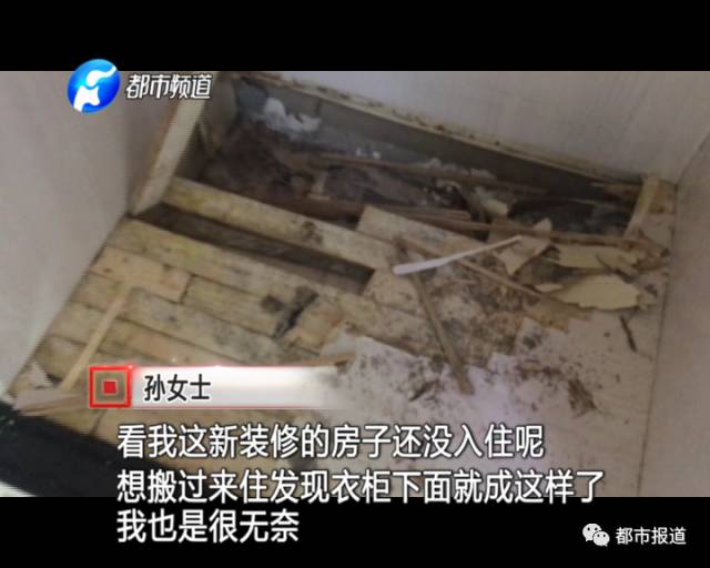 蟻?zhàn)宕筌娙肭?！十幾萬裝修的新家被“吃掉”