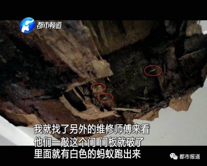 蟻?zhàn)宕筌娙肭?！十幾萬裝修的新家被“吃掉”