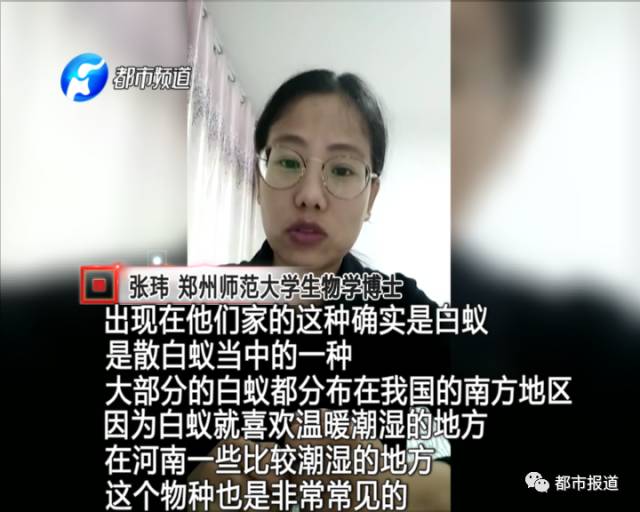 蟻?zhàn)宕筌娙肭?！十幾萬裝修的新家被“吃掉”