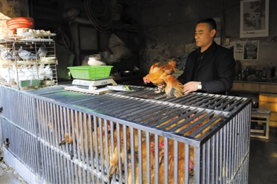 南京另一家農(nóng)貿(mào)市場內(nèi)待售的活雞。因南京出現(xiàn)H7N9禽流病例，買活雞的顧客減少。