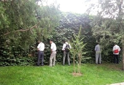 6月30日，頤和園內(nèi)綠地上，多名游客在小解。 網(wǎng)友“攝影老鬼” 攝