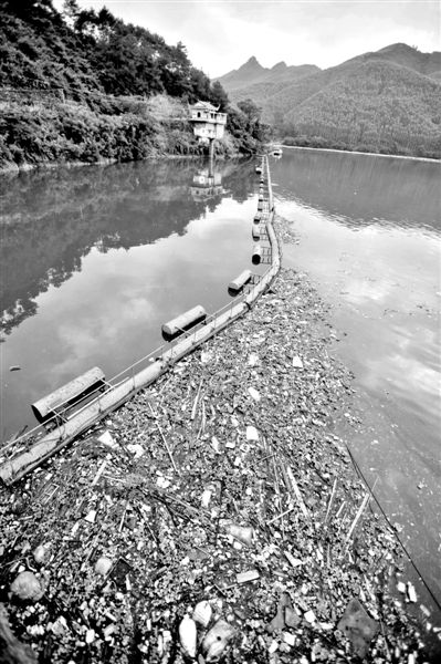 7月7日，廣西賀州市賀江合面獅段被污染的水域。據(jù)新華社