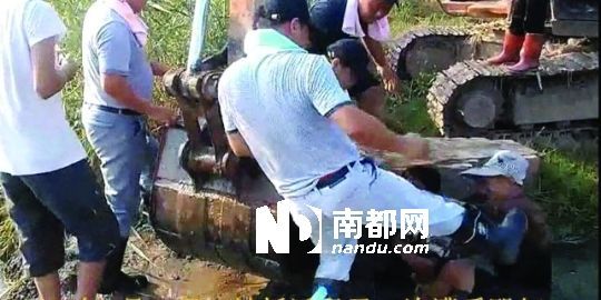 幾名戴黑帽的男子將一名老人推入水塘，后反復(fù)腳踹。