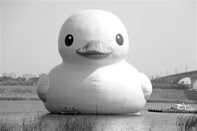 昨日，經(jīng)過連夜修正，大黃鴨的嘴部已恢復(fù)變寬，和在香港展出時看起來一樣。