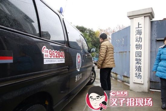 殯葬車到達現場。新民網 記者 蕭君瑋 攝