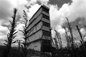 這幢5層的“片片樓”周圍已是一片拆遷后的廢墟，左邊的一堵墻上，不少鋼筋裸露在外面 圖片來源：新華網(wǎng)