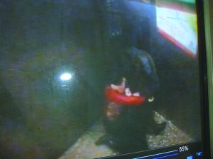 男子將侯某撲倒，侯某反抗。