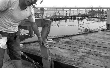 鼻孔里凝著血痂、全身多處擦傷的周先生仍有些驚魂未定。