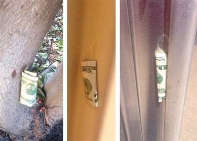 “隱藏的鈔票”會被神秘人藏在公園、廁所等“奇怪的地方”。