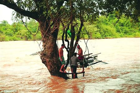 蓋屋、種菜，“從沒這樣快樂”