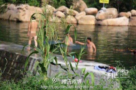 網(wǎng)友曝光的現(xiàn)場圖片。（圖片來自網(wǎng)絡(luò)）