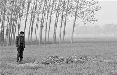 11月21日，高松中站在腦癱雙胞胎兒子墳前。