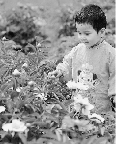 　春光里,鄭州處處皆美景。