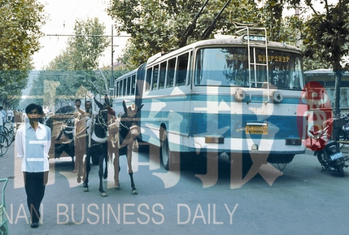 當(dāng)年的伏牛路，驢車和公交車并行