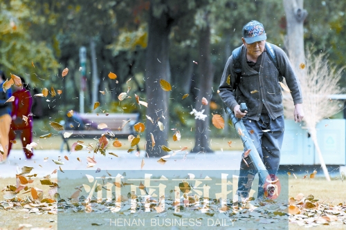 秋風吹過，落葉滿地