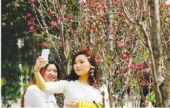 市民在公園與花合影。