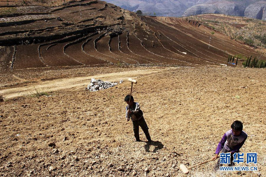 3月16日，在貴州省畢節(jié)市威寧縣斗古鄉(xiāng)中關(guān)村，兩個(gè)孩子幫助家人在干旱的土地上勞動(dòng)。