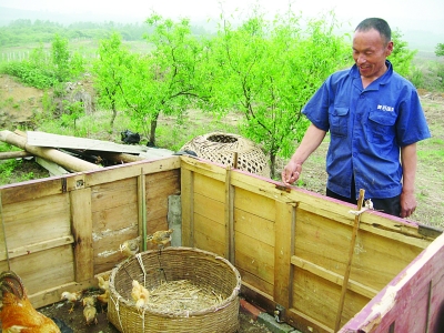 弟弟趙文富向記者介紹他們養(yǎng)雞的地方。