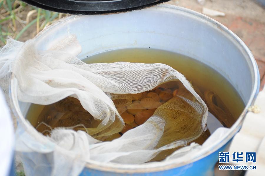 地下水成“綠茶”　污染二十多年該誰(shuí)治？