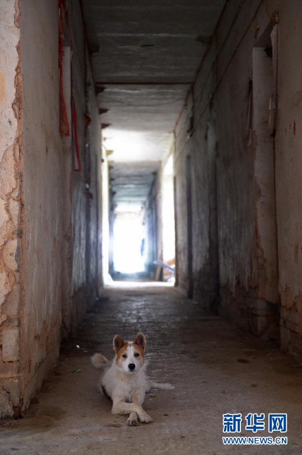 農(nóng)場棚戶區(qū)的最后留守家庭：留下的是回憶，迎來的是幸福