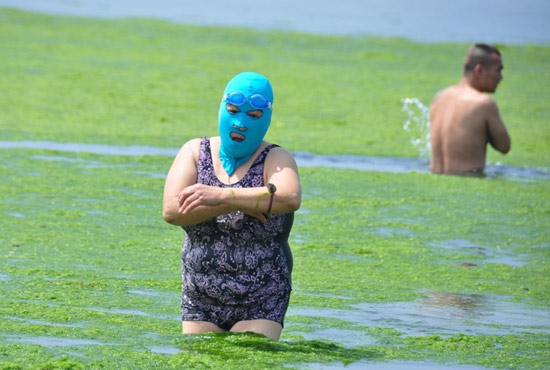 2013年7月3日，山東青島青島高溫來襲，“青島大媽”不懼滸苔，戴著“強盜面具”出現在海水浴場消暑降