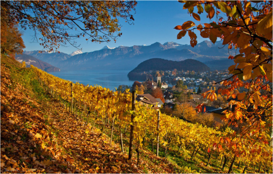 繼續(xù)一段弗里堡的午后時(shí)光 繼續(xù)一段弗里堡的午后時(shí)光