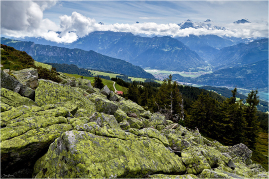 繼續(xù)一段弗里堡的午后時(shí)光 繼續(xù)一段弗里堡的午后時(shí)光