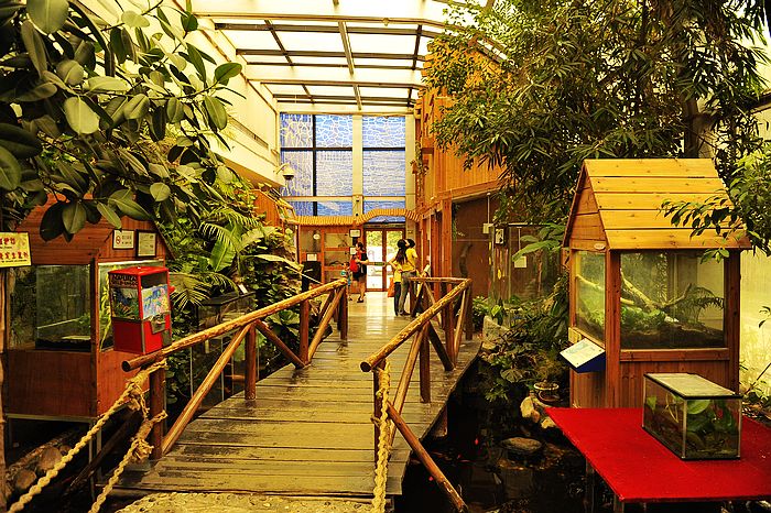 10月的秋季 體驗(yàn)不一樣的國內(nèi)美妙旅程