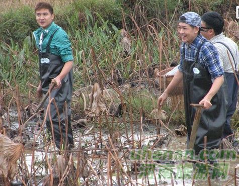 爸爸去哪兒？親密接觸荷花仙子