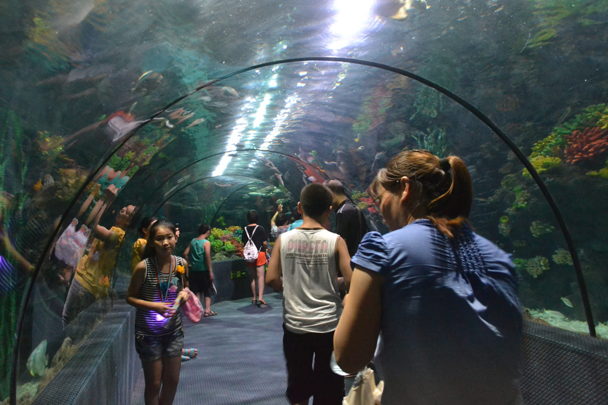 春節(jié)去哪兒？出游地圖告訴您！