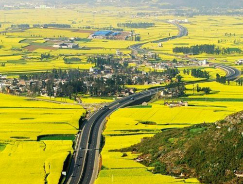 如何拍攝油菜花？達(dá)人教你7個(gè)拍攝技巧