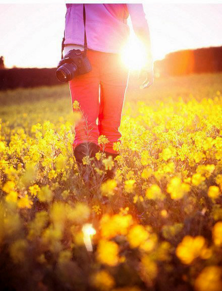 如何拍攝油菜花？達(dá)人教你7個(gè)拍攝技巧